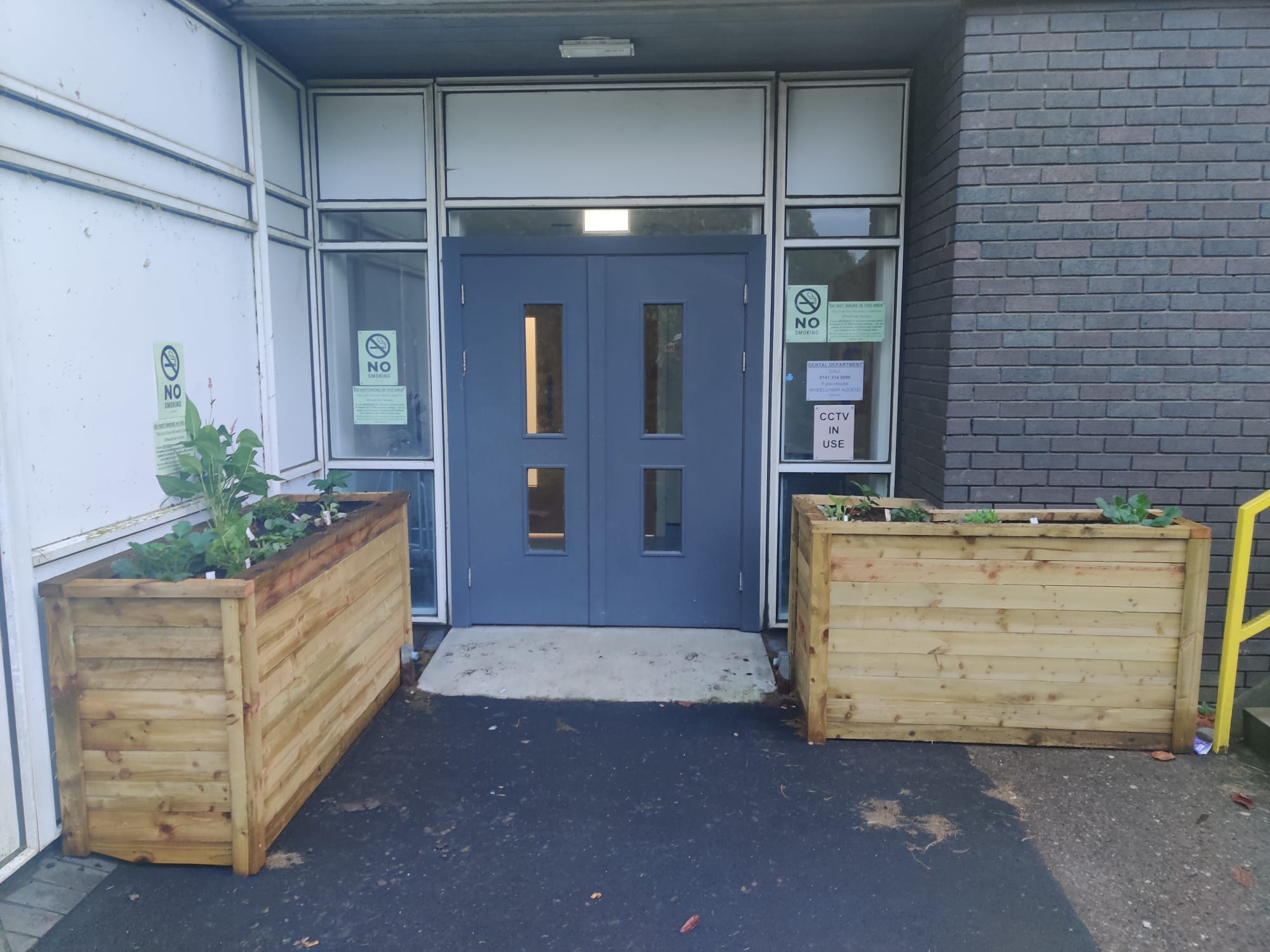 Wooden pollinator planter project