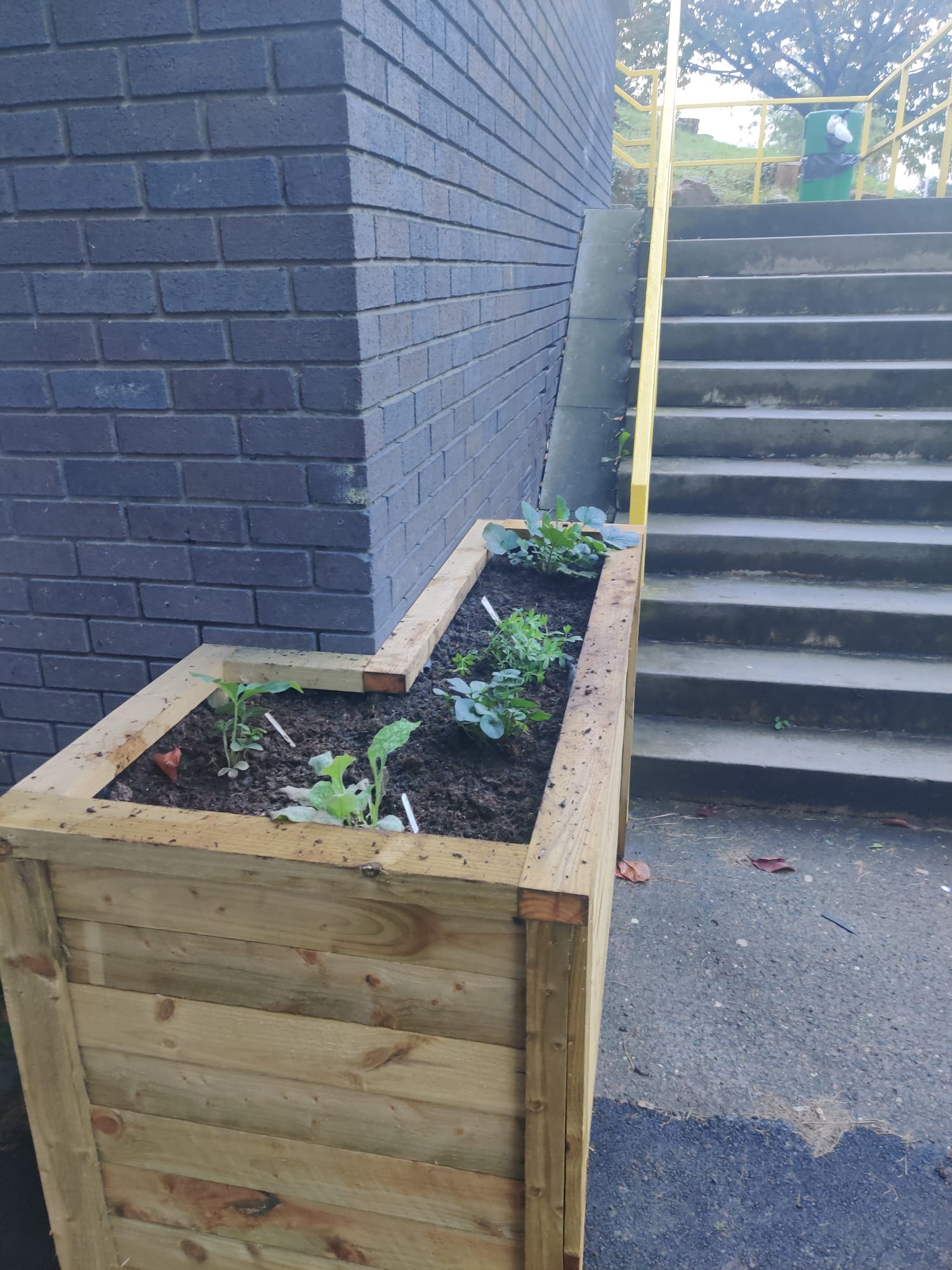 Wooden pollinator planter project