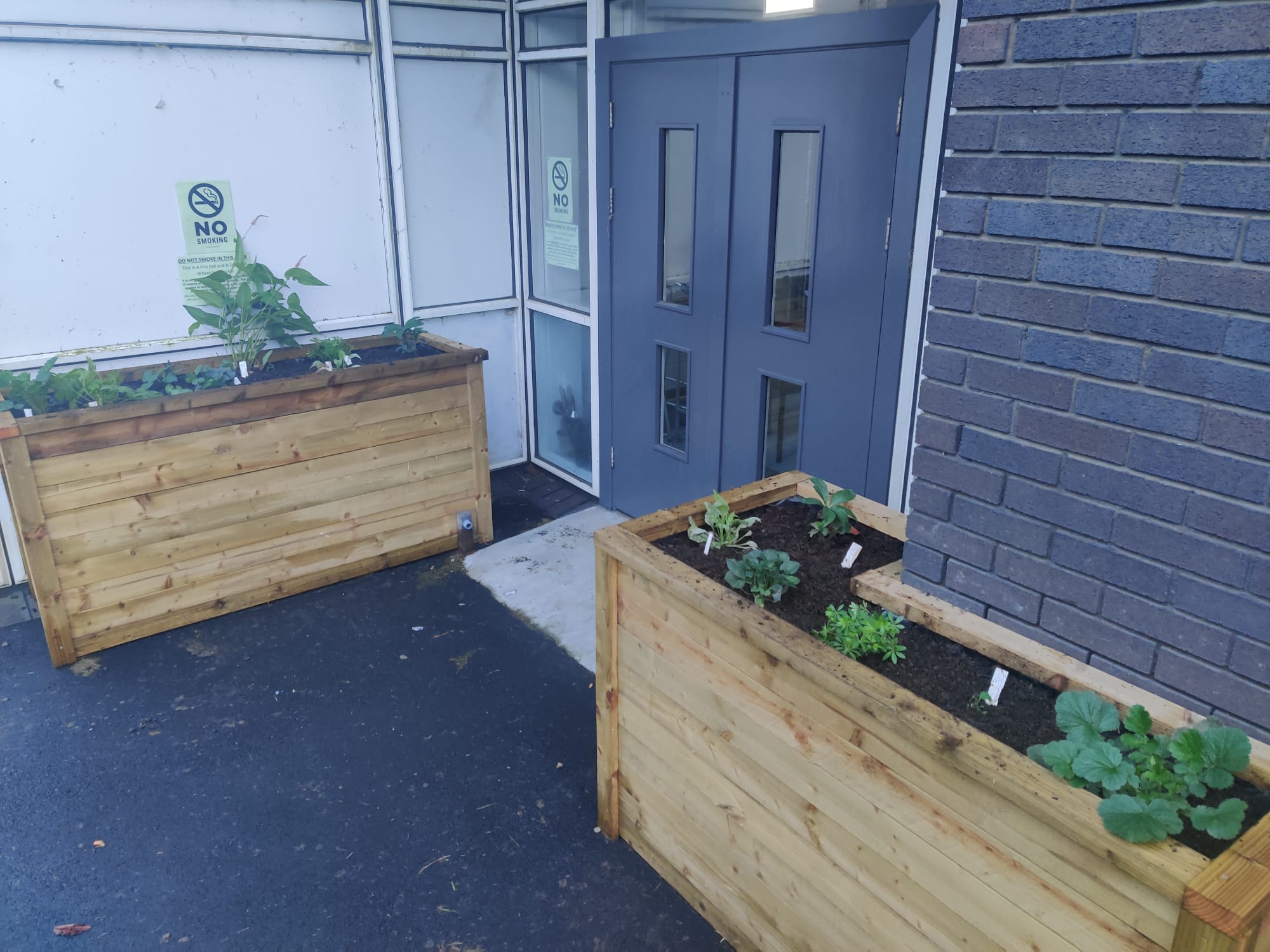 Wooden pollinator planter project