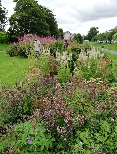 Established naturalistic planting in Bonnybridge