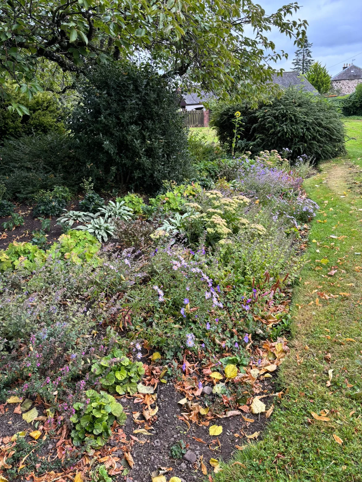 Clocktower Park after planting