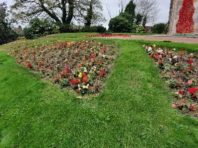 Denny Old Parish Church planting
