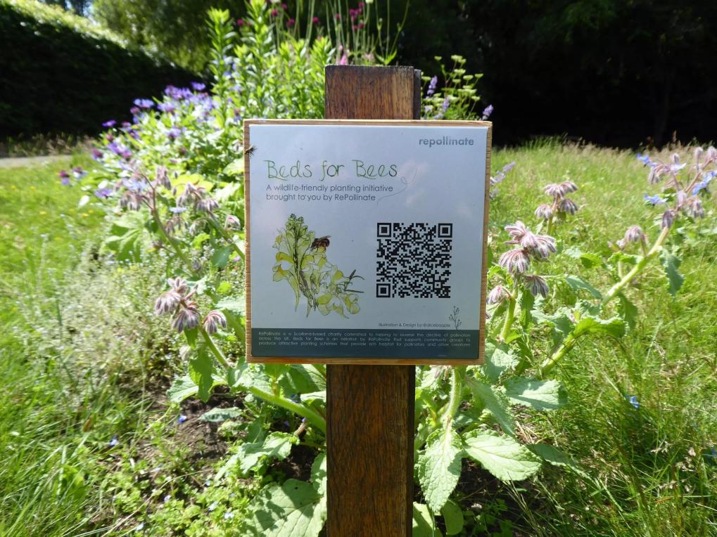 Beds for Bees project sign with QR code in a flowering Bee Bed
