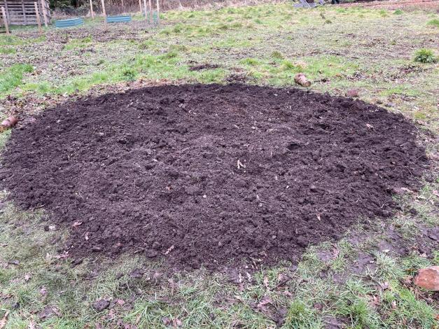 Community volunteers planting a Bee Bed