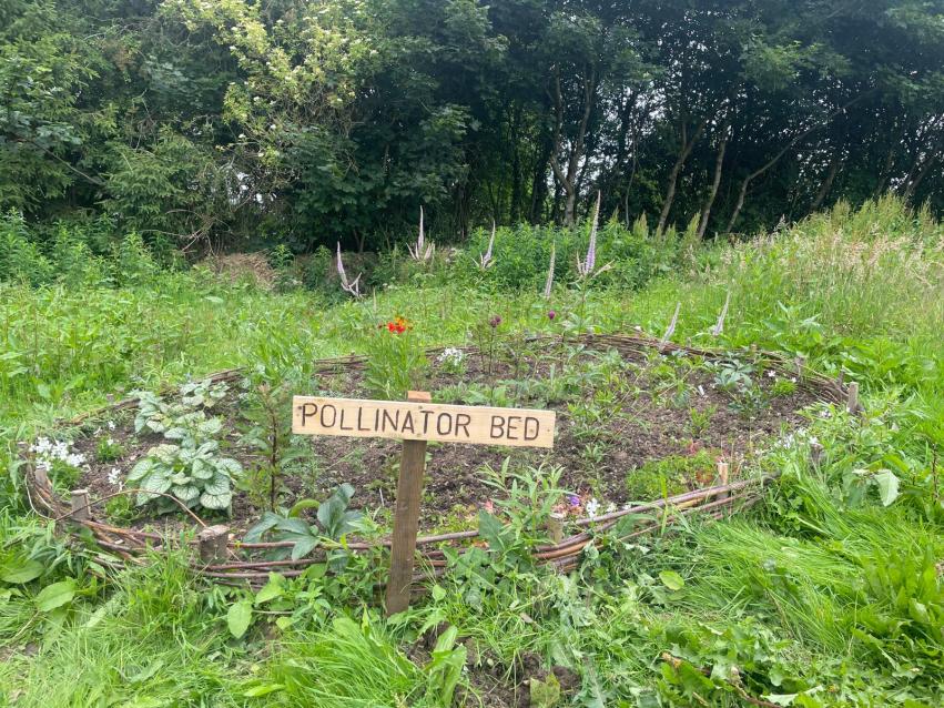 Established pollinator bed