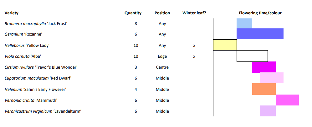 Example Bee Bed planting plan showing varieties, quantities, positions, winter leaf and flowering time or colour