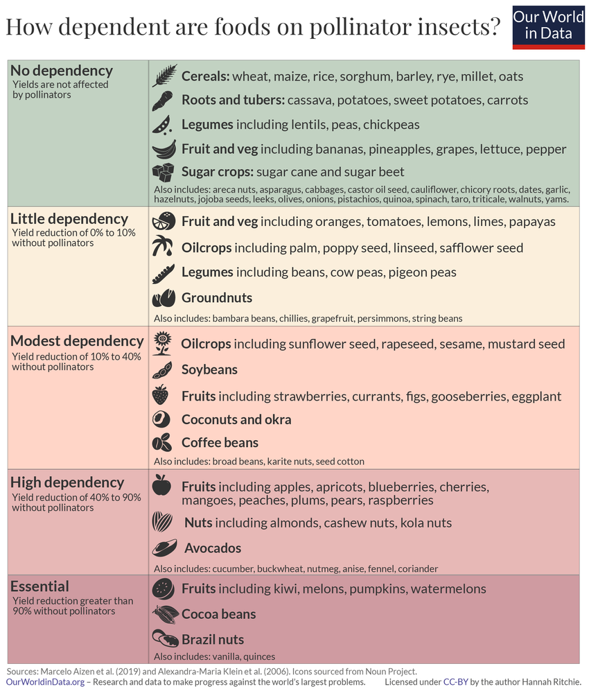 How dependent foods are on pollinator insects