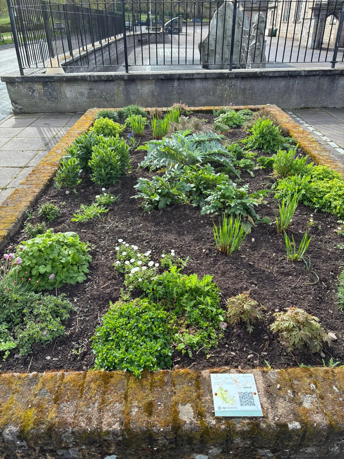 Forres, Moray - 2024 project photograph