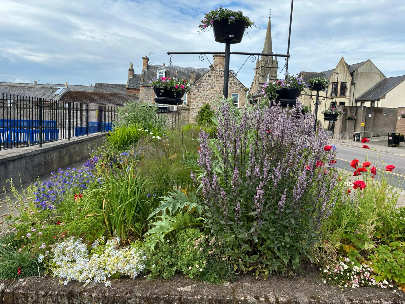 Forres, Moray - 2024 project photograph