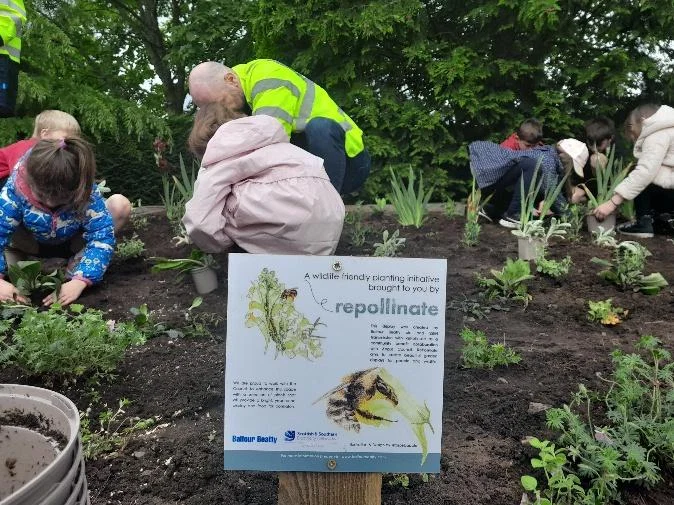 Pupils and volunteers planting a bee bed