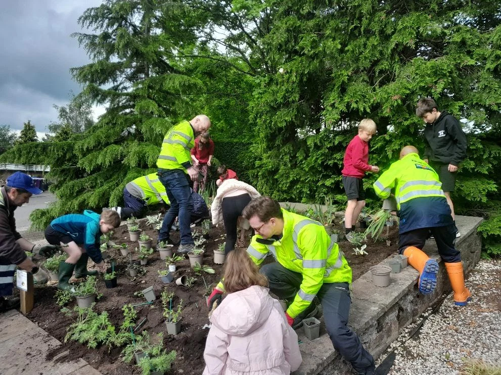 Pupils and project partners planting together