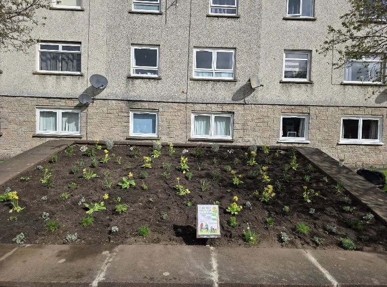 Tillicoultry High Street in April