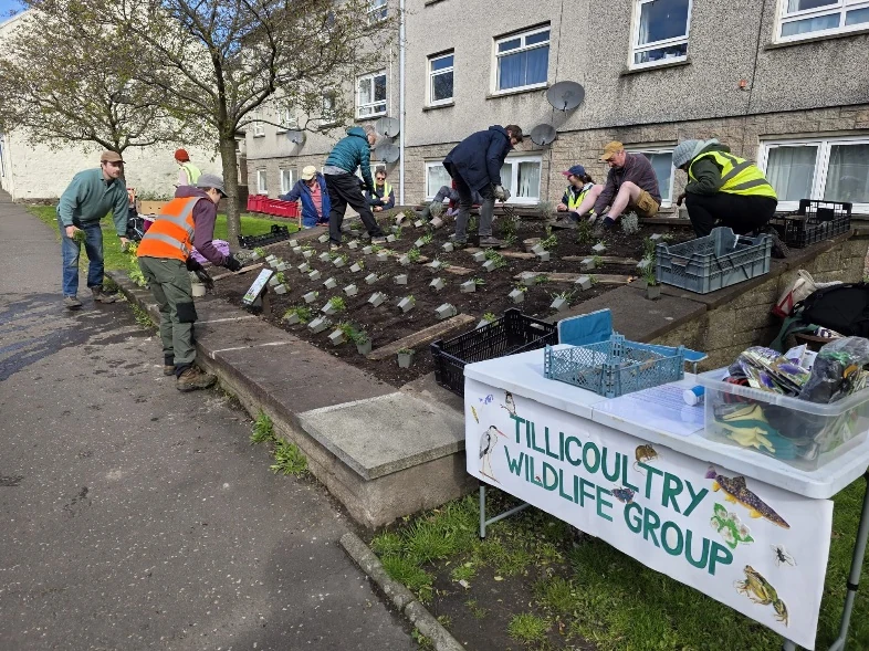 Tillicoultry Wildlife Group planting at High Street