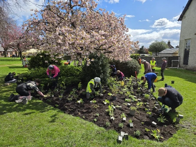 Tillicoultry Clocktower Park planting