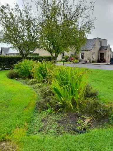 Existing planting at Dunmore Village