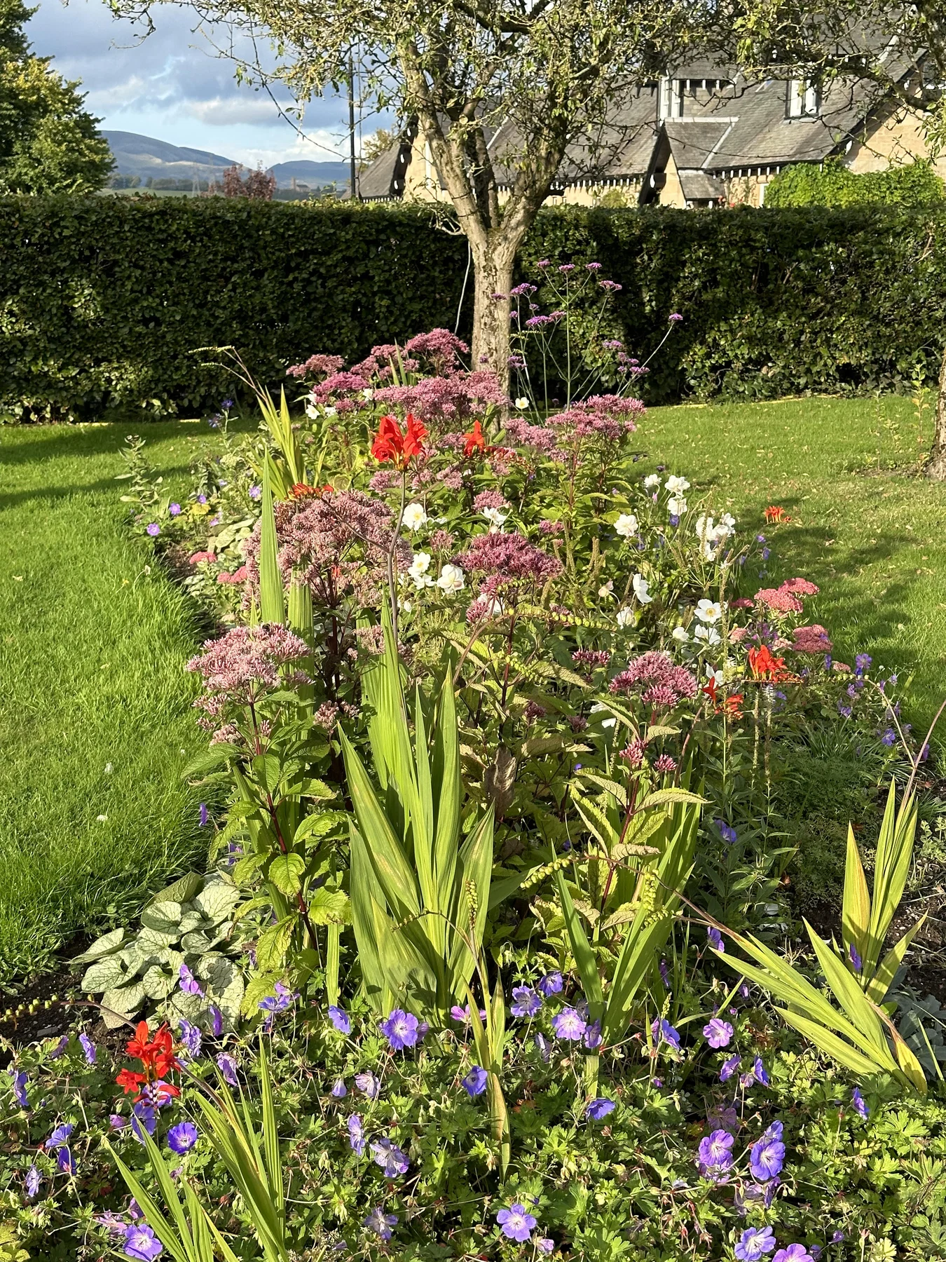 Colourful planting at Dunmore Village