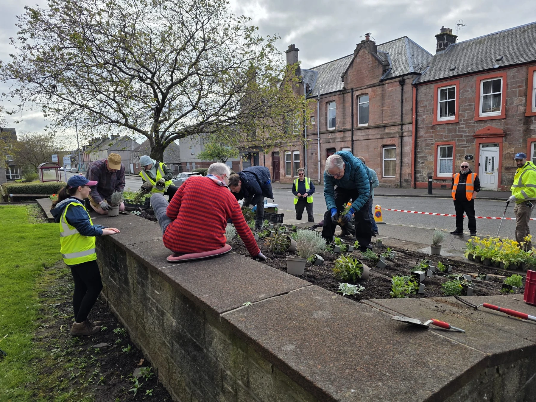 Community planting at High Street, Tillicoultry