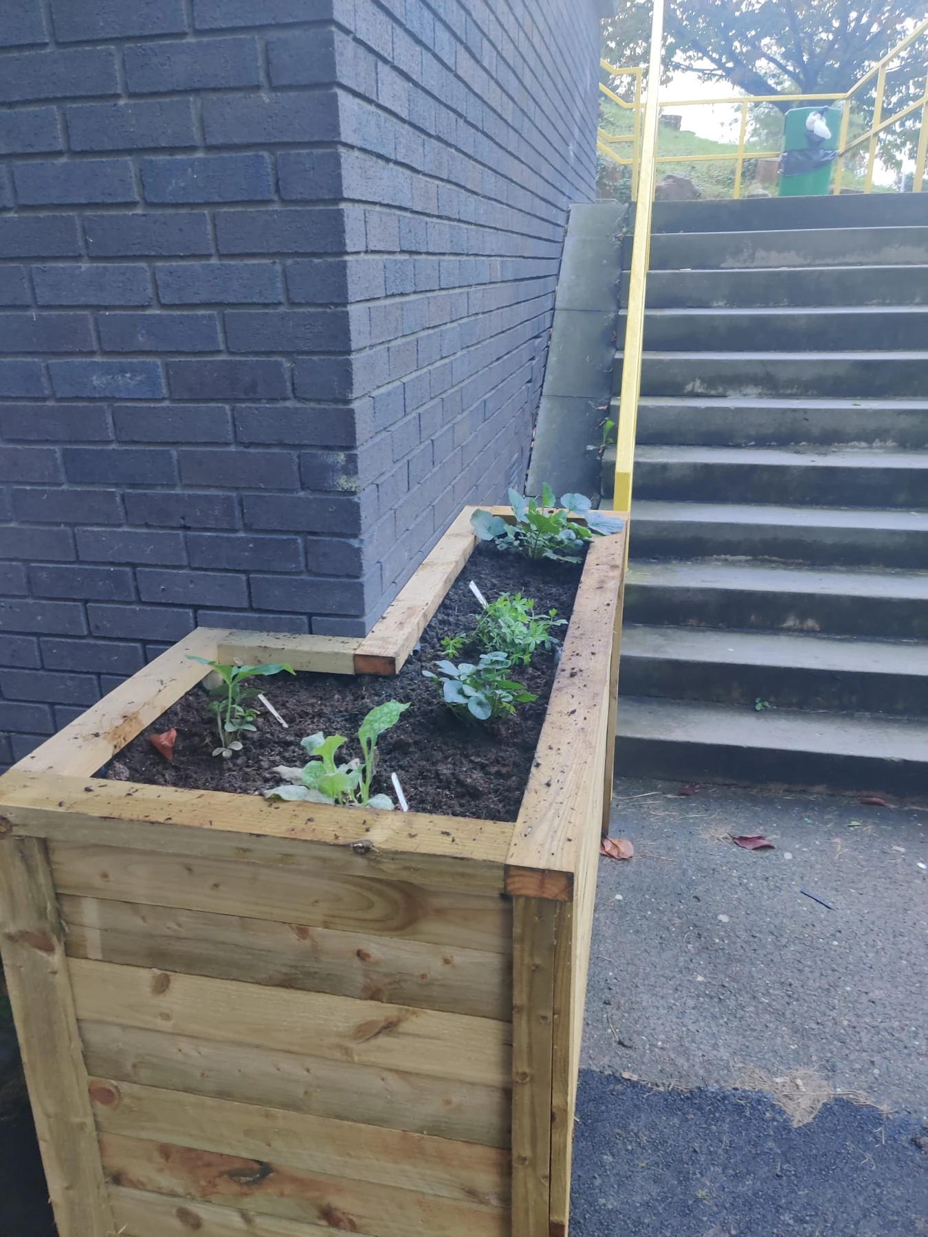 Long planter fitted beside the hospital stairs