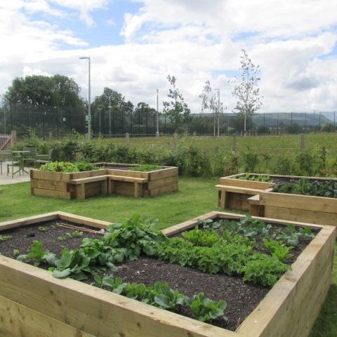 Raised vegetable beds at HMP Stirling