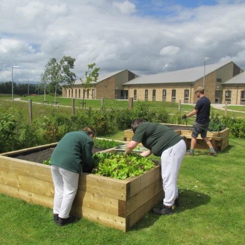 Participants tending a raised bed at HMP Stirling