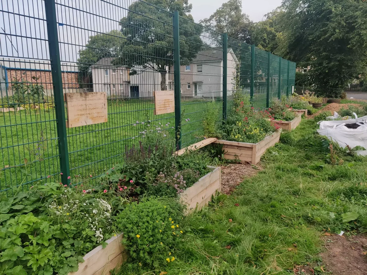 Beds for Bees planting at a community garden